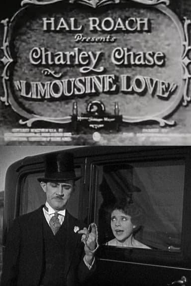 Limousine Love poster