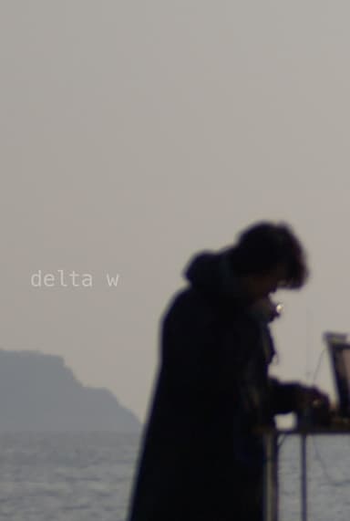 delta w, composition film poster