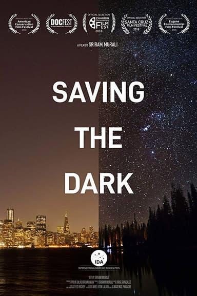 Saving the Dark poster