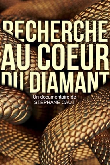 Recherche au coeur du Diamant poster