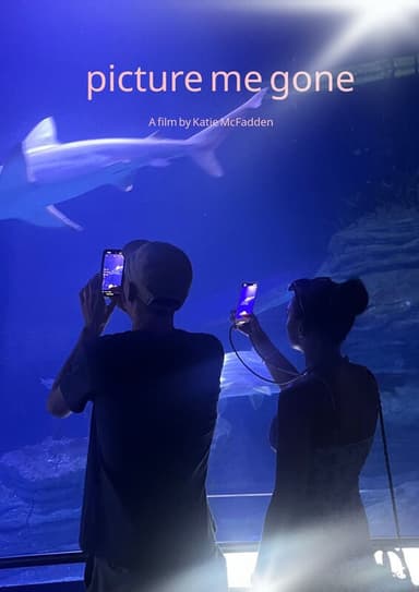 Picture Me Gone poster