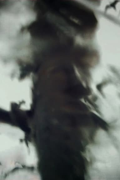 Spirit Stills poster