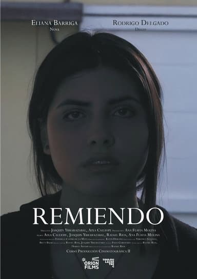 Remiendo poster