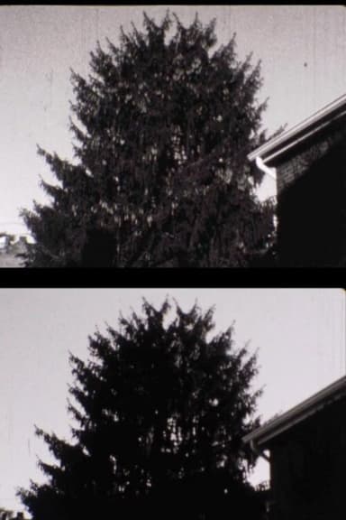43 street Treelapse poster