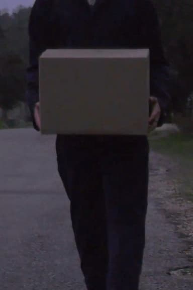Delivery poster