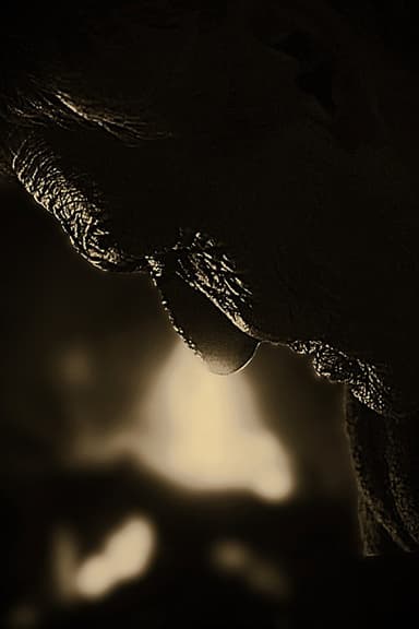 Entretejidos poster