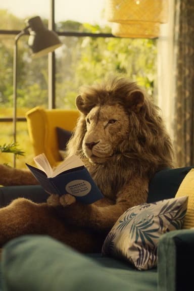 Lions poster