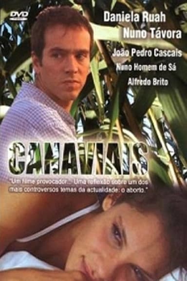 Canaviais poster