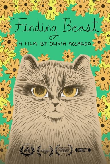 Finding Beast poster
