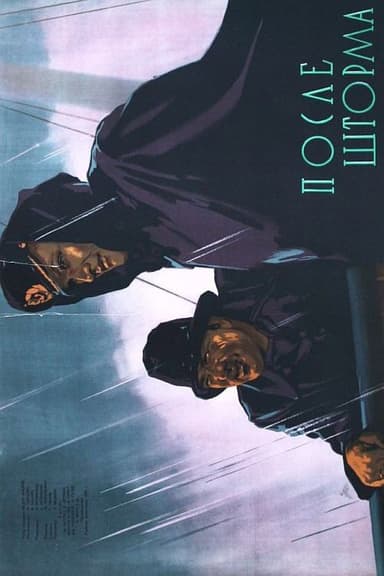 After The Storm poster