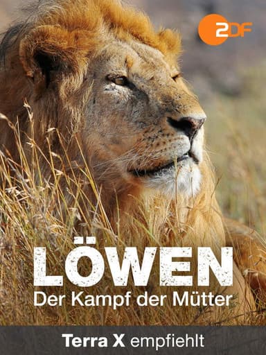 Lions - Mothers' Fight for Survival poster