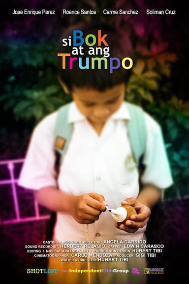 The Boy and His Top poster