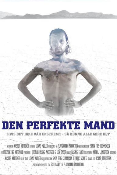 Den Perfekte Mand poster