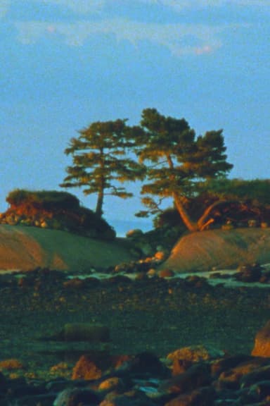 Two Trees poster