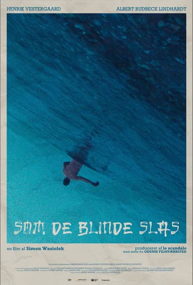 Brawling in Blindspots poster