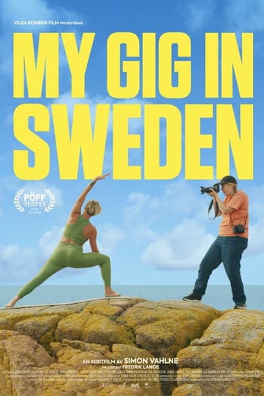 My Gig In Sweden poster