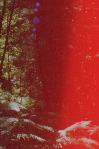Newsreel 670 – Red Forests poster