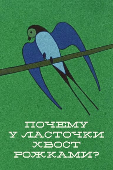 Why the Swallow's Tail Is Double? poster