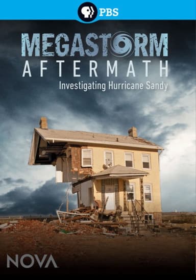 Megastorm Aftermath poster