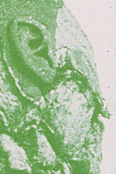 The Green Gate: Magellan at the Gates of Death, Part II poster