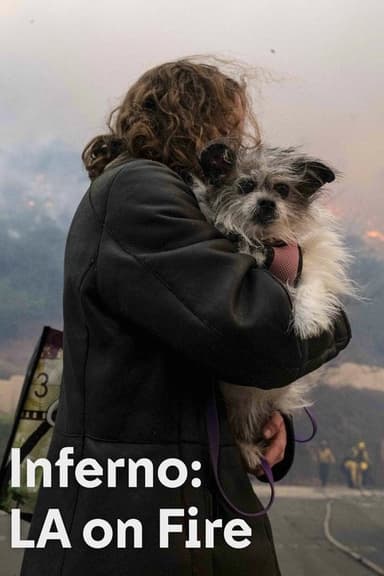 Inferno: LA on Fire poster