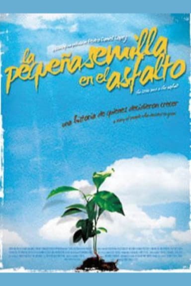 The Little Seed on the Asphalt poster