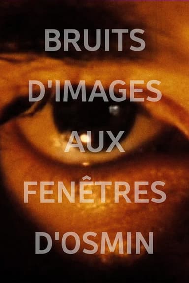 Image Noise (Osmin's Windows) poster