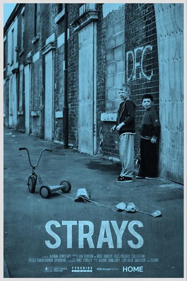 Strays poster