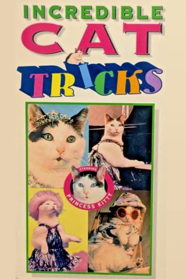 Incredible Cat Tricks Starring Princess Kitty poster