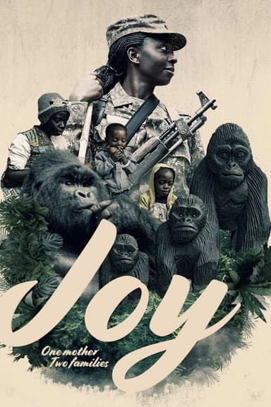 Joy: One Mother Two Families poster