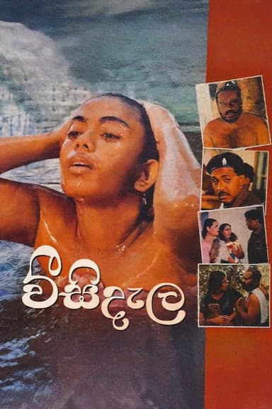 Weesi Dela poster