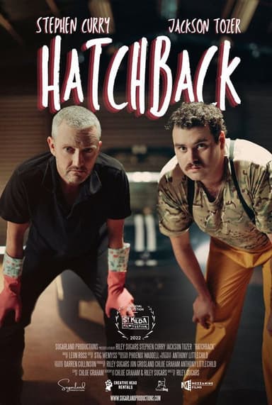 Hatchback poster