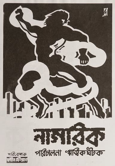 The Citizen poster