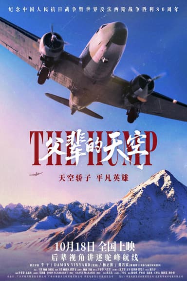 父辈的天空 poster