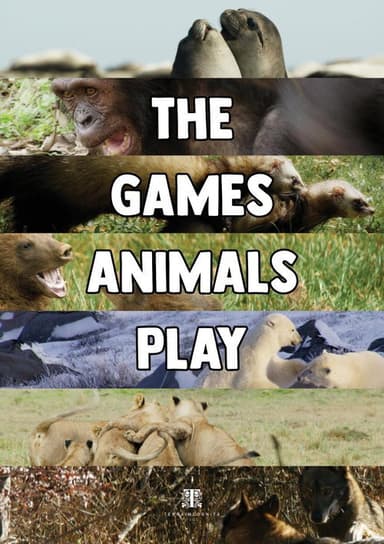 The Games Animals Play poster