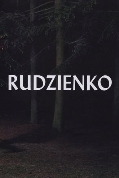 Rudzienko poster