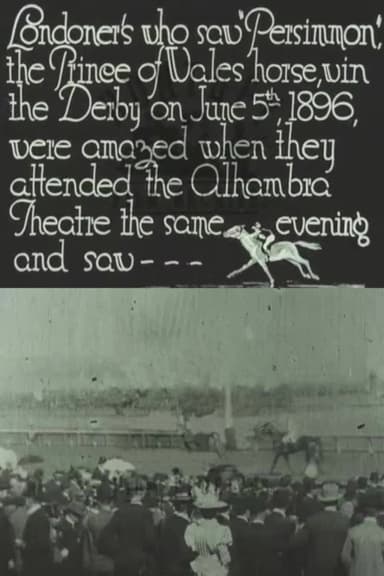 Persimmons Winning the Derby poster