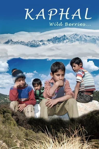 Kaphal: Wild Berries poster
