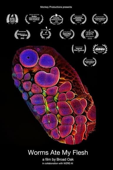 Worms Ate My Flesh poster