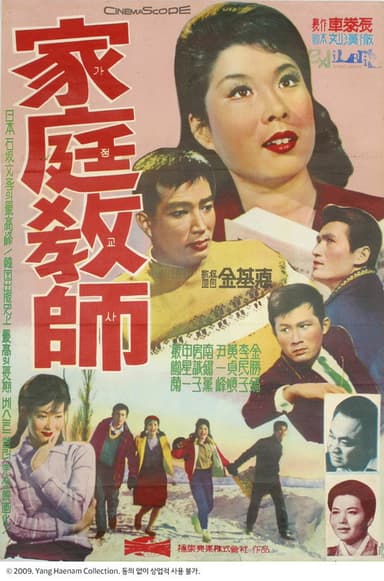Private Tutor poster
