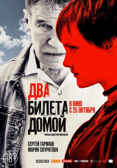 Two Tickets Home poster