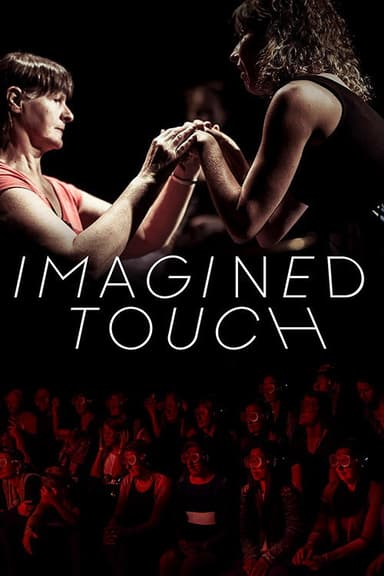 Imagined Touch poster