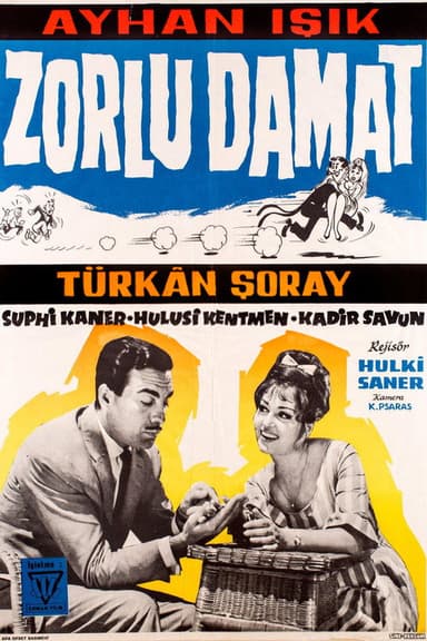 The Tough Groom poster