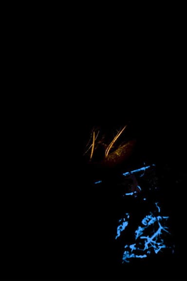 Night Fire poster