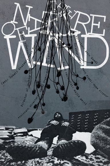 The Nature of Wind poster
