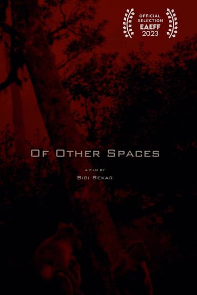 Of Other Spaces poster