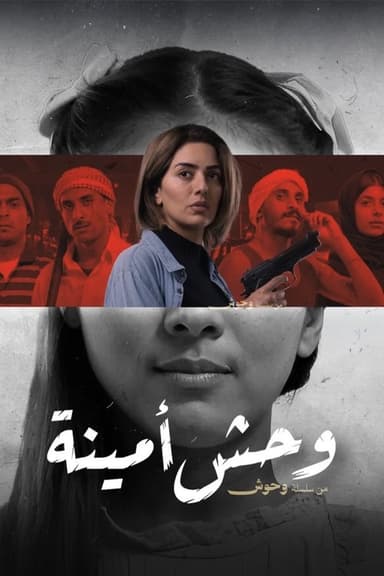 The Monster of Amina poster