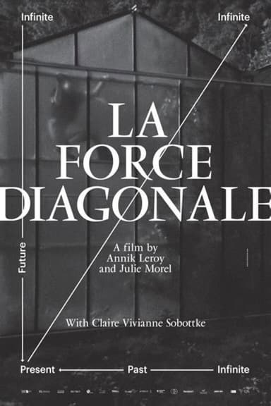 The Diagonal Force poster