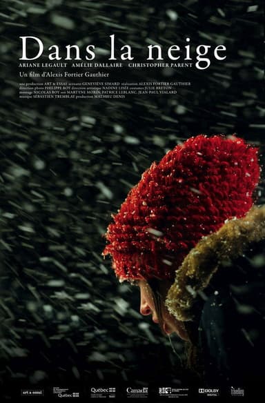 Snowbound poster