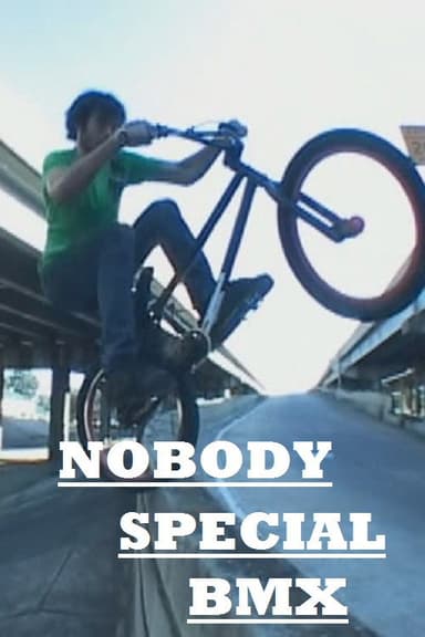 Nobody Special poster
